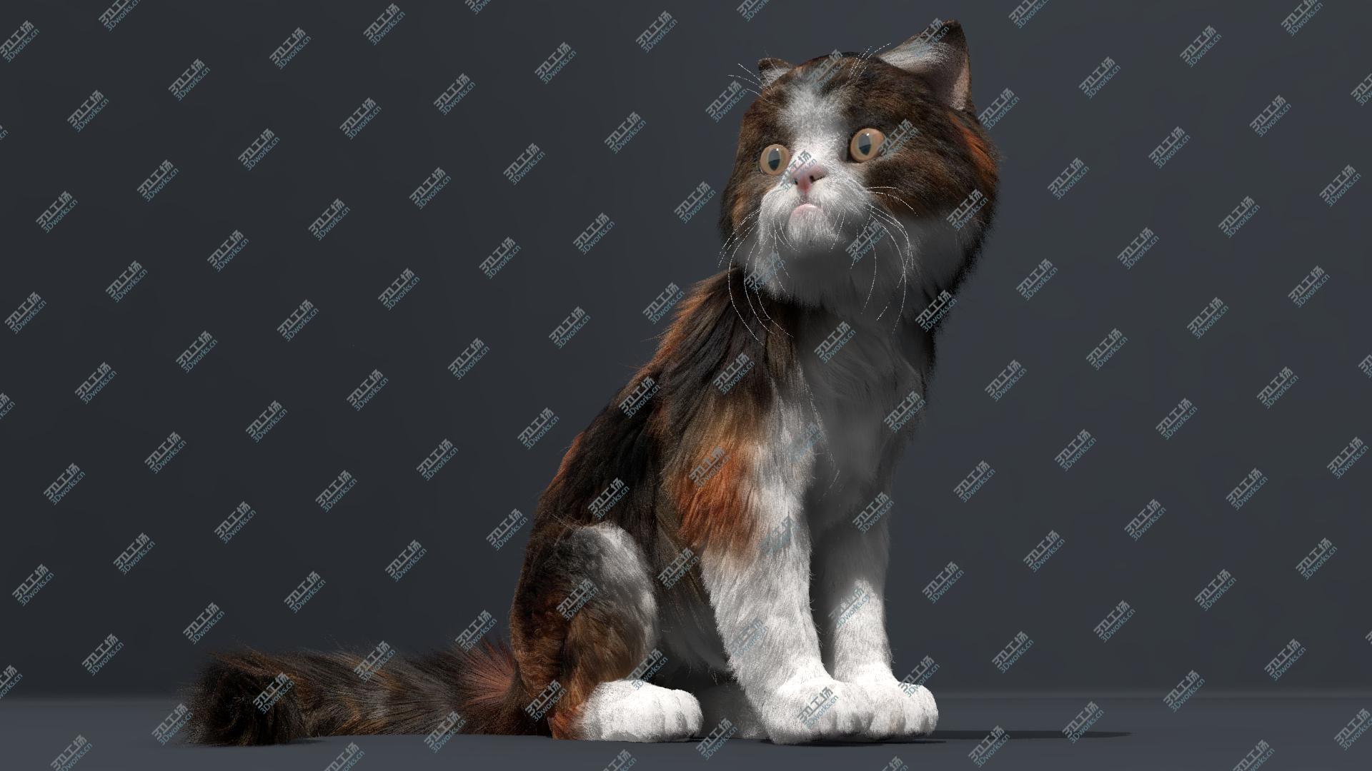 images/goods_img/2021040233/Cat Fur Animated1 3D model/3.jpg